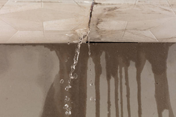 Professional Structural Drying technician working in Bradley Beach, NJ